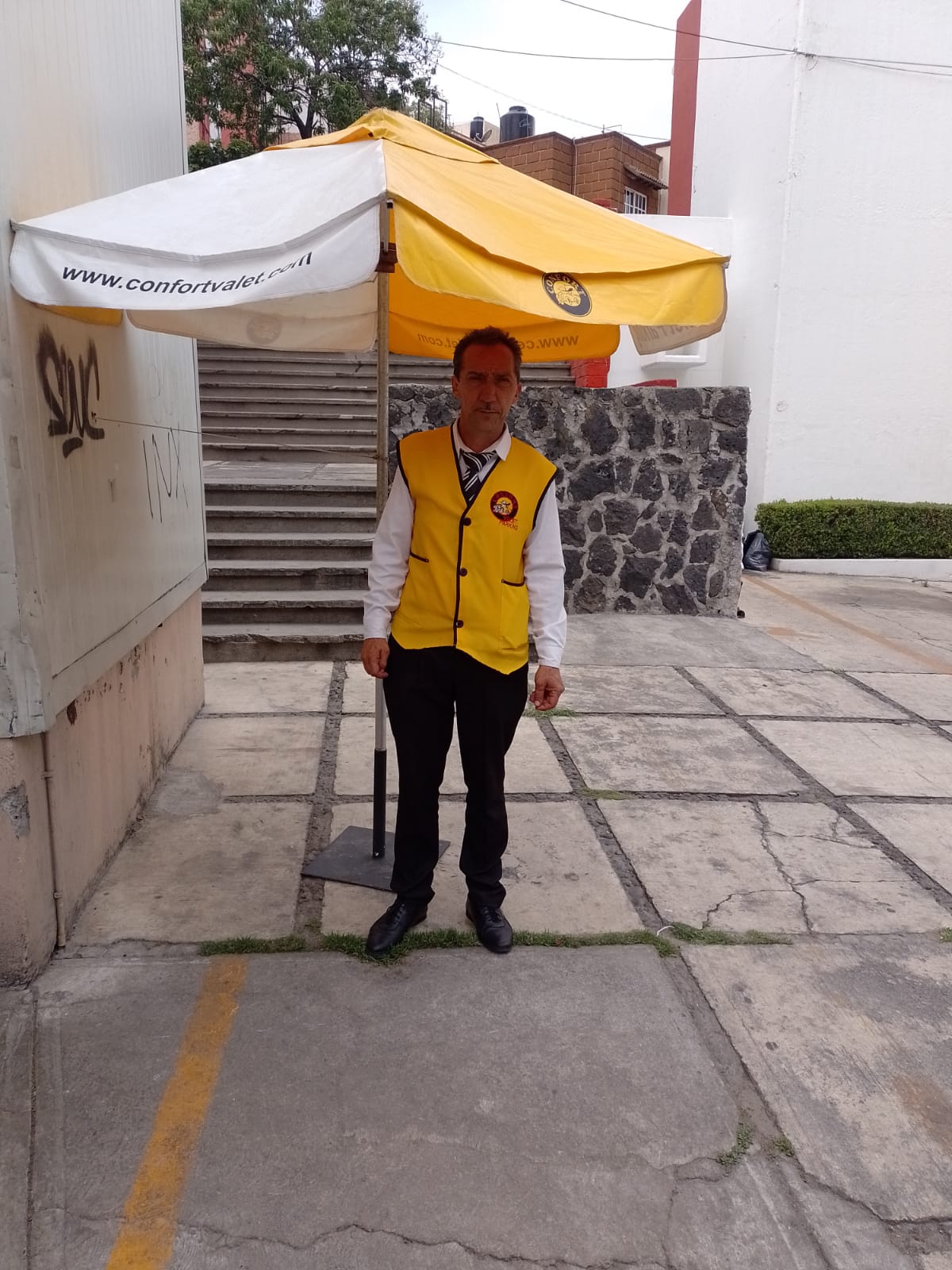 Imagen 2